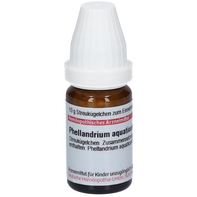 Phellandrium Aquaticum D 6 Globuli 10 g