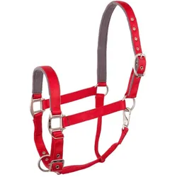BR Equestrian Equipment, Halfter
