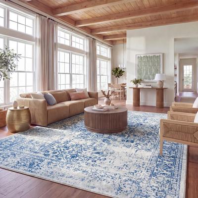 SAFAVIEH Evoke Quinn Vintage Distressed Rug