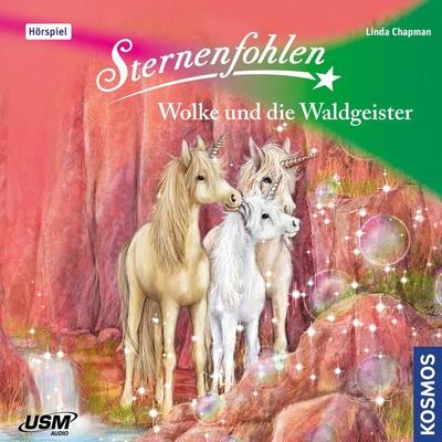 Wolke und die Waldgeister - Linda Chapman, Audio, 4066004600482