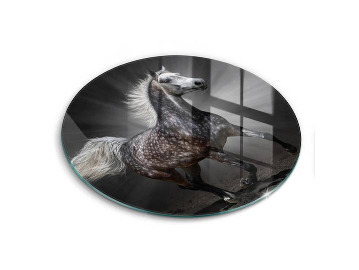 Wallfluent Glasplatte Ø 40 cm Pferd im Galopp, Zinkfarben, Glas, Rund, 40x40 cm, Küchenzubehör, Schneidebretter