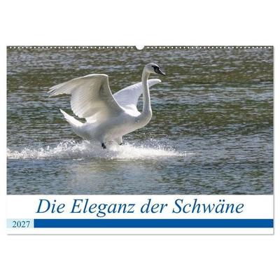 Die Eleganz der Schwäne (Wandkalender 2027 DIN A2 quer), CALVENDO Monatskalender