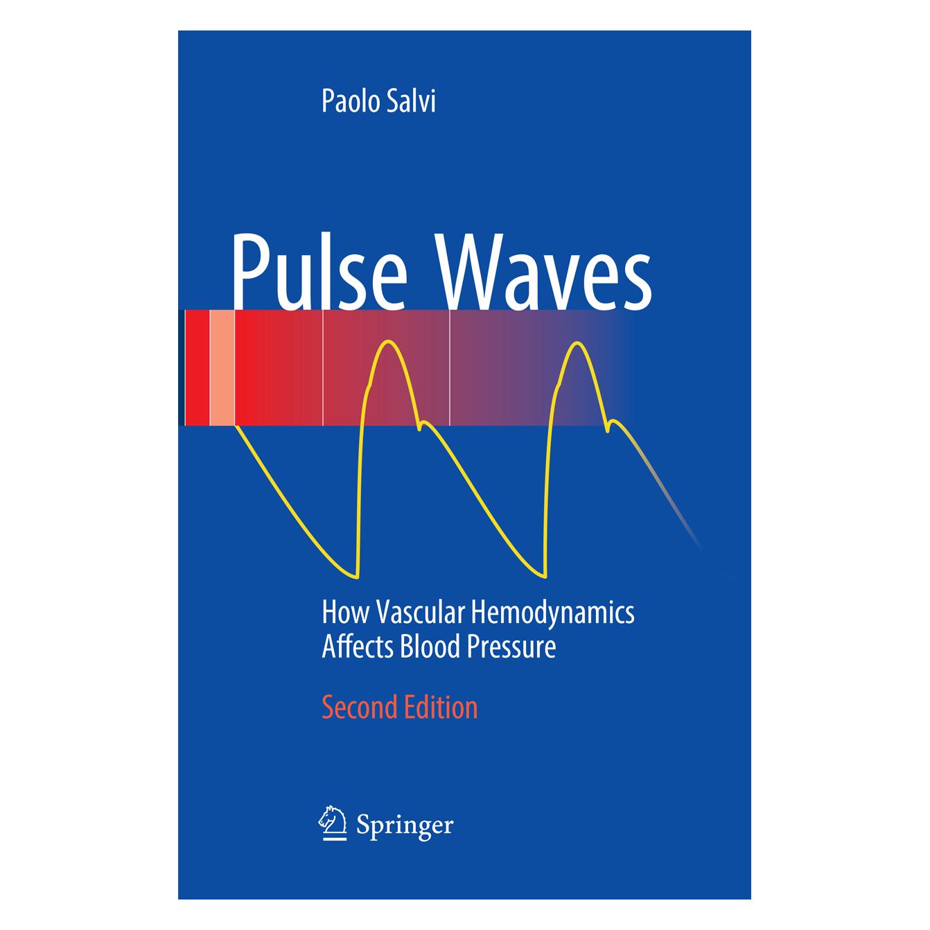 Springer Pulse Waves (Englisch, Softcover, Paolo Salvi) (38969891)