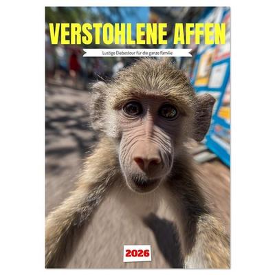 Verstohlene Affen - Lustige Diebestour für die ganze Familie (Wandkalender 2026 DIN A2 hoch), CALVENDO Monatskalender