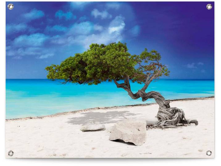 Poster REINDERS Tropische Insel , blau (farbe bild(er): blau), B:80cm H:60cm T:0,1cm, Leinwand, Bilder, Poster