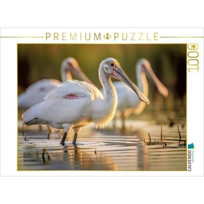 CALVENDO Puzzle Löffelreiher - weil gewöhnlich langweilig ist. | 1000 Teile Lege-Größe 64x48cm Foto-Puzzle für glückliche Stunden, von , Calvendo