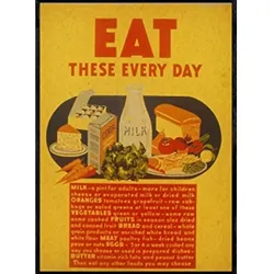 POSTER Ernährung Food Daily A4 Rahmenlos