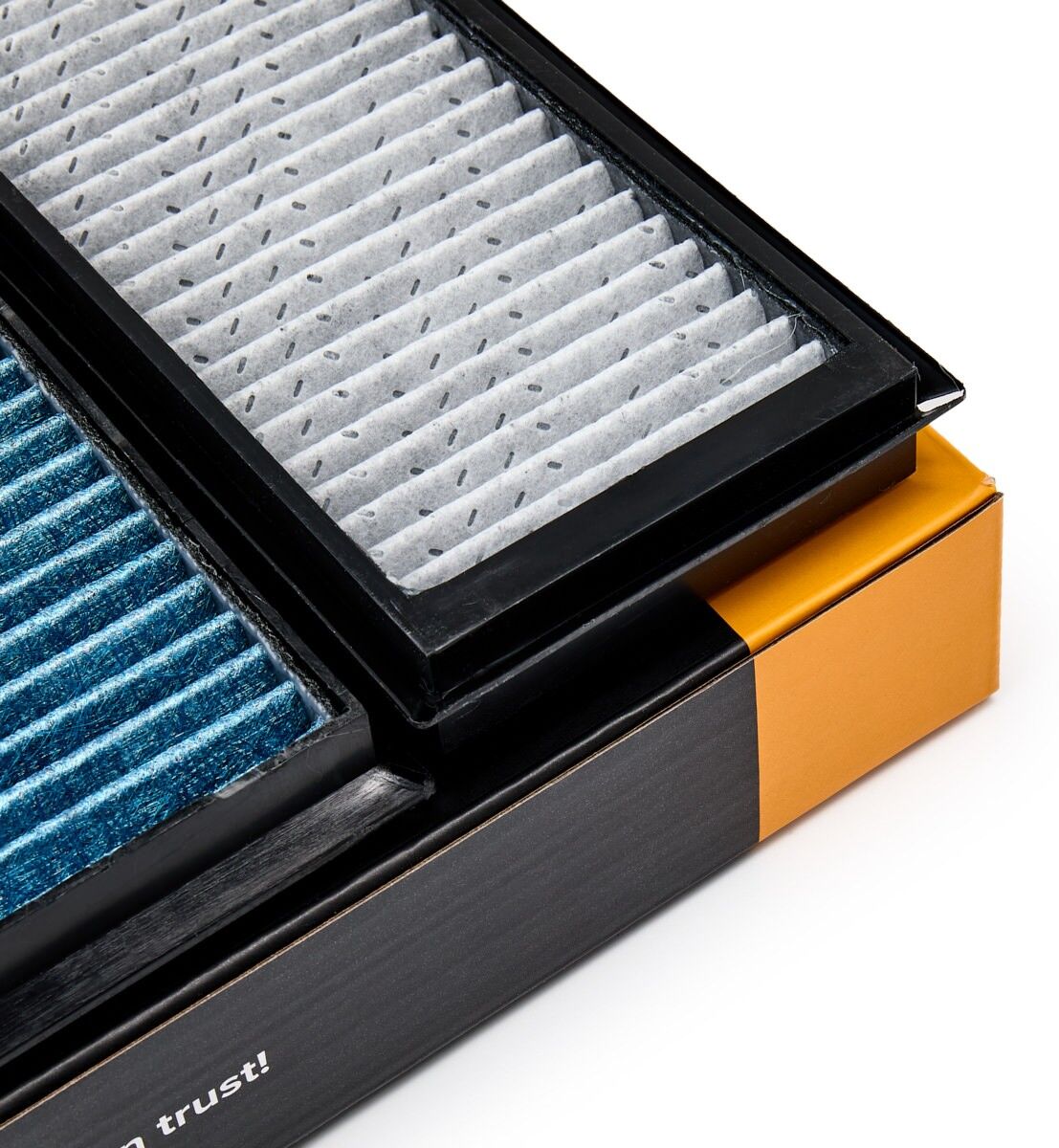 RIDEX 424I0700 Pollen filter