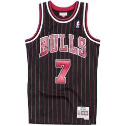 Mitchell & Ness, Herren, Sportshirt, Swingman Toni Kukoc Chicago Bulls 199596 Jersey (S), Schwarz, S