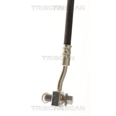 TRISCAN Bremsschlauch 815081211 für Tesla