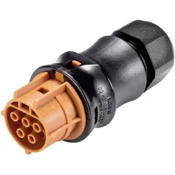 Wieland Steckverbinder Buchse, Elektronikkabel + Stecker, Braun