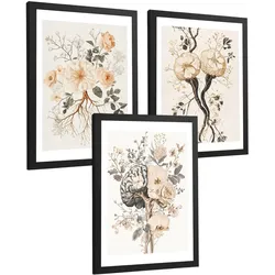 POSTER Set aus 3 Neuronale Anatomie Drucke und Wandbilder mit Neuronen Synapsen und Gehirn Minimalistischer Floraler Stil Größe Schwarzer Rahmen A3