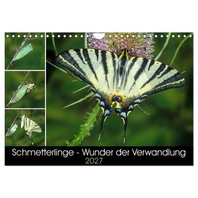 Schmetterlinge - Wunder der Verwandlung (Wandkalender 2027 DIN A4 quer), CALVENDO Monatskalender