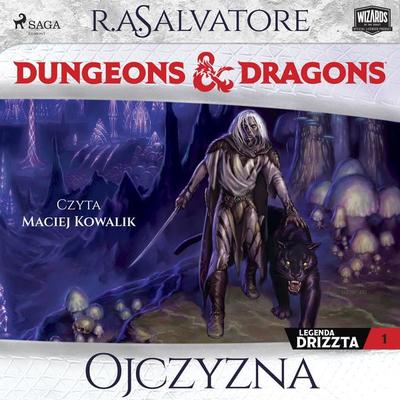Dungeons&Dragons: Legenda Drizzta. Tom 1. Ojczyzna - R.A. Salvatore, Audio, 4069829373227