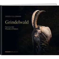 Grindelwald, Sachbücher von Speedy Füllemann
