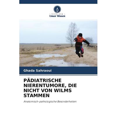 Pädiatrische Nierentumore, die Nicht von Wilms Stammen, Taschenbuch von Ghada Sahraoui, Verlag Unser Wissen, 978-620-4-35503-0