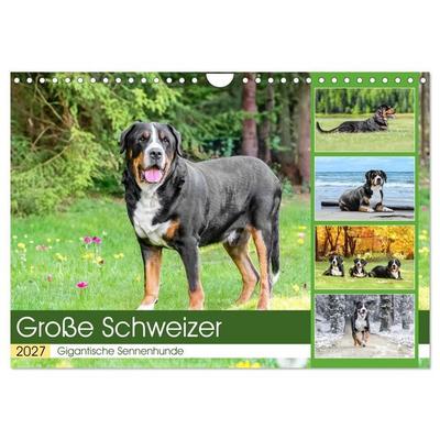 Große Schweizer - Gigantische Sennenhunde (Wandkalender 2027 DIN A4 quer), CALVENDO Monatskalender