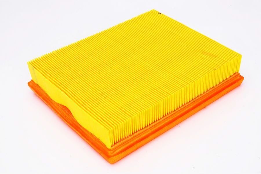 Luftfilter PURFLUX A1036