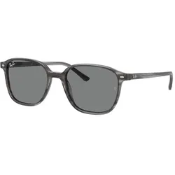 Ray-Ban 0RB2193 LEONARD 1314B1 Grau Gr. 51/18 (mit Sehstärke)