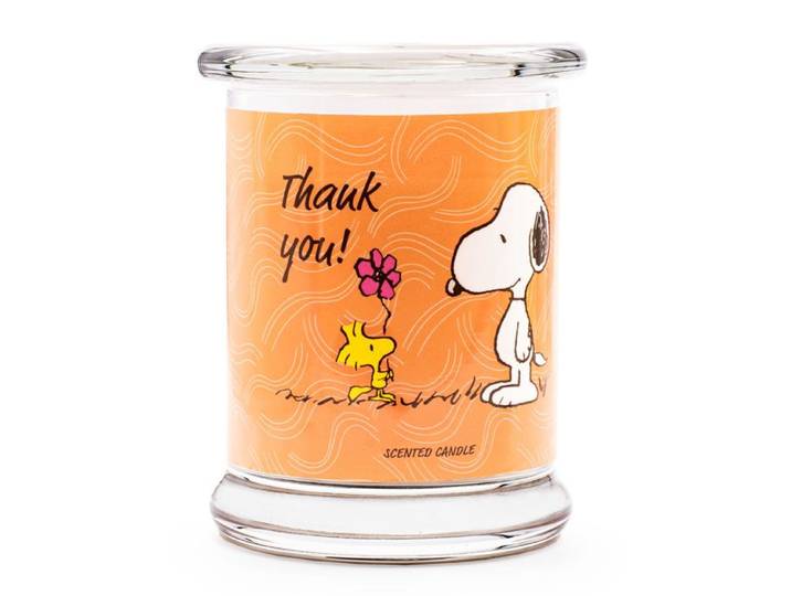 Peanuts Bougie parfumée ™