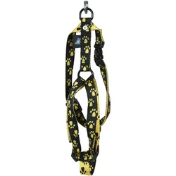 Martin Sellier Patte (S, Hund, Allgemein, Spazieren), Halsband + Leine