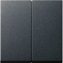 Gira 029528 Alt - Wippe 2f System 55 Anthrazit