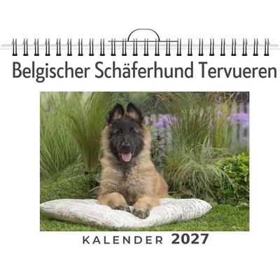 Belgischer Schäferhund Tervueren