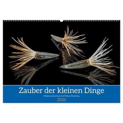 Zauber der kleinen Dinge (Wandkalender 2026 DIN A2 quer), CALVENDO Monatskalender