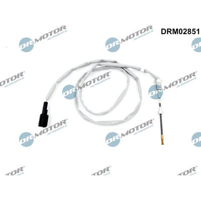 DR.MOTOR AUTOMOTIVE Sensor, Abgastemperatur drm02851 nach Katalysator für Ford