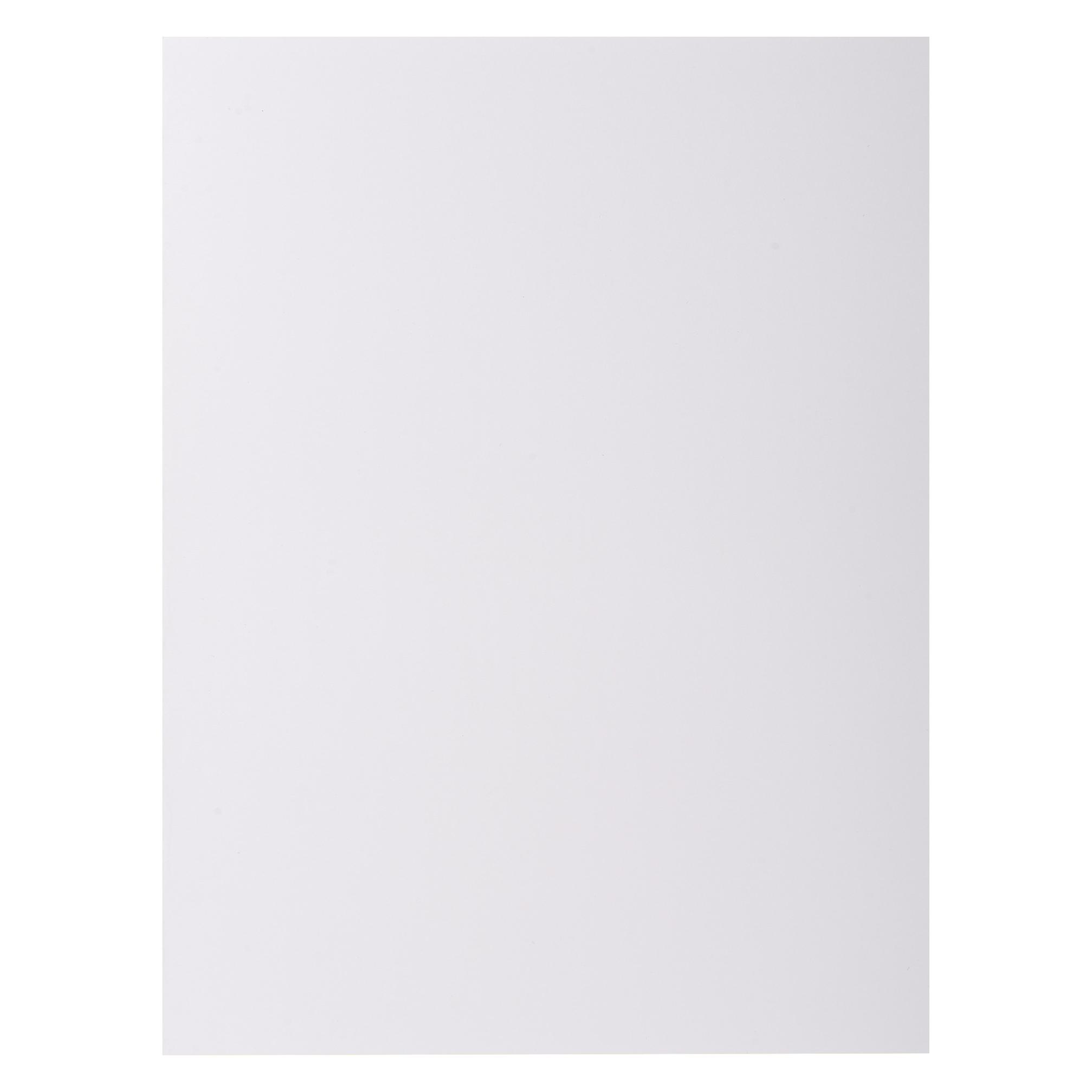 Exacompta Sammelmappen - Aktendeckel (A4) (800017E)