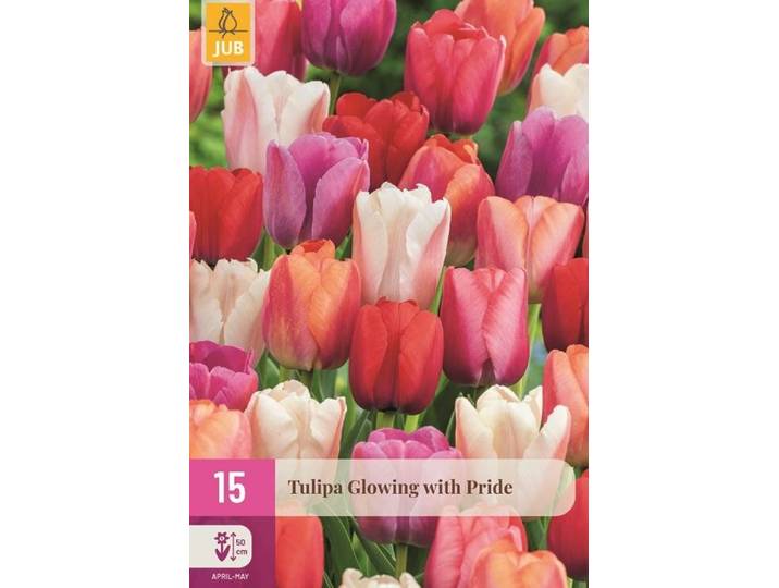 Tulpen glowing with pride 15 bollen