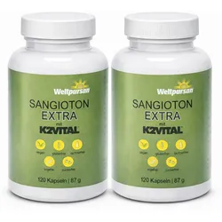 Sangioton Extra - 240 Kapseln