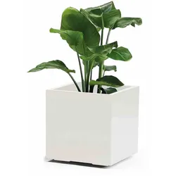 EURO3PLAST Kübel GREENER KEBE 40 cm weiß 315703