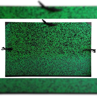 Exacompta 533600E 2x Zeichenmappe mit Bändchen für Großformate Annonay, 80x120cm - Grün