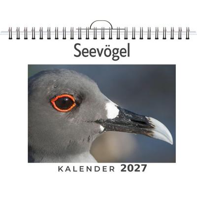 Seevögel