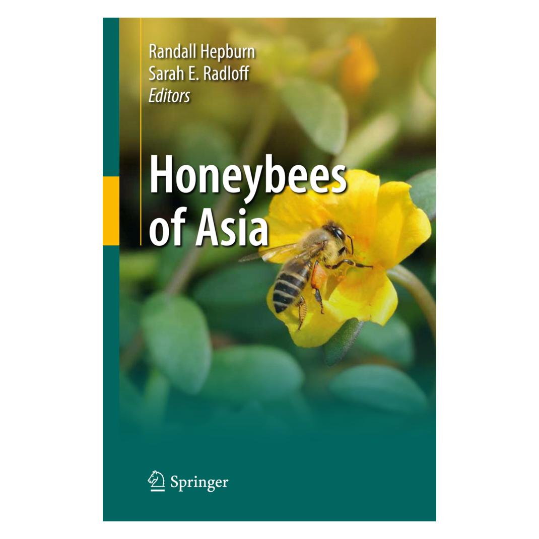 Springer Honeybees of Asia (Englisch, Softcover, H. Randall Hepburn, Sarah E. Radloff) (55574383)
