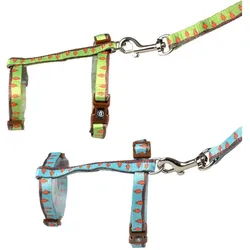 Duvoplus Carrot (Spazieren), Halsband + Leine