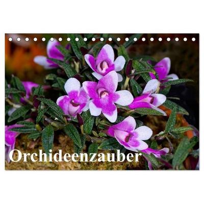 Orchideenzauber (Tischkalender 2027 DIN A5 quer), CALVENDO Monatskalender