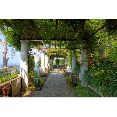 Fototapete PAPERMOON "Pergola Villa St Michele", bunt, B:3,5m L:2,6m, Vlies, Tapeten