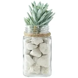 Sukkulente im Glasgefäß   , grün , Kunststoff,Glas,Stein , Maße (cm): B: 8,5 H: 15,5 T: 8.5