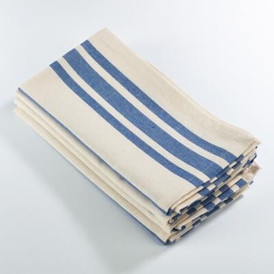 Saro Lifestyle Dauphine Collection Striped Design Dinner Napkin (Set of 4)