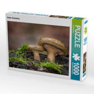 CALVENDO Puzzle Kahler Krempling 1000 Teile Lege-Größe 64 x 48 cm Foto-Puzzle Bild von Beate Wurster