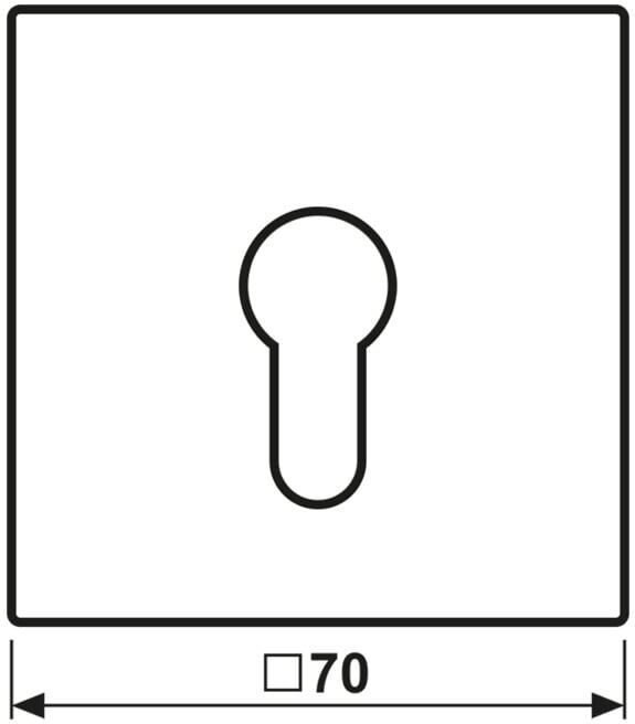 Jung Cache pour interrupteur à clé eds ES 2925 (ES2925)