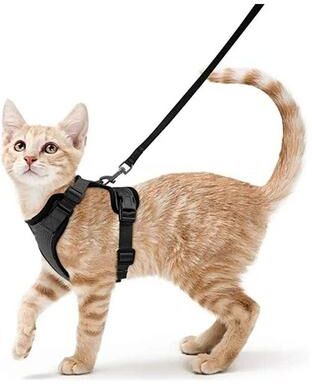 Uplifted Finds EasyControl Escape Proof Soft Vest Harness black s