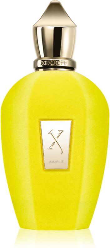 Xerjoff Amabile Eau de Parfum mixte 100 ml