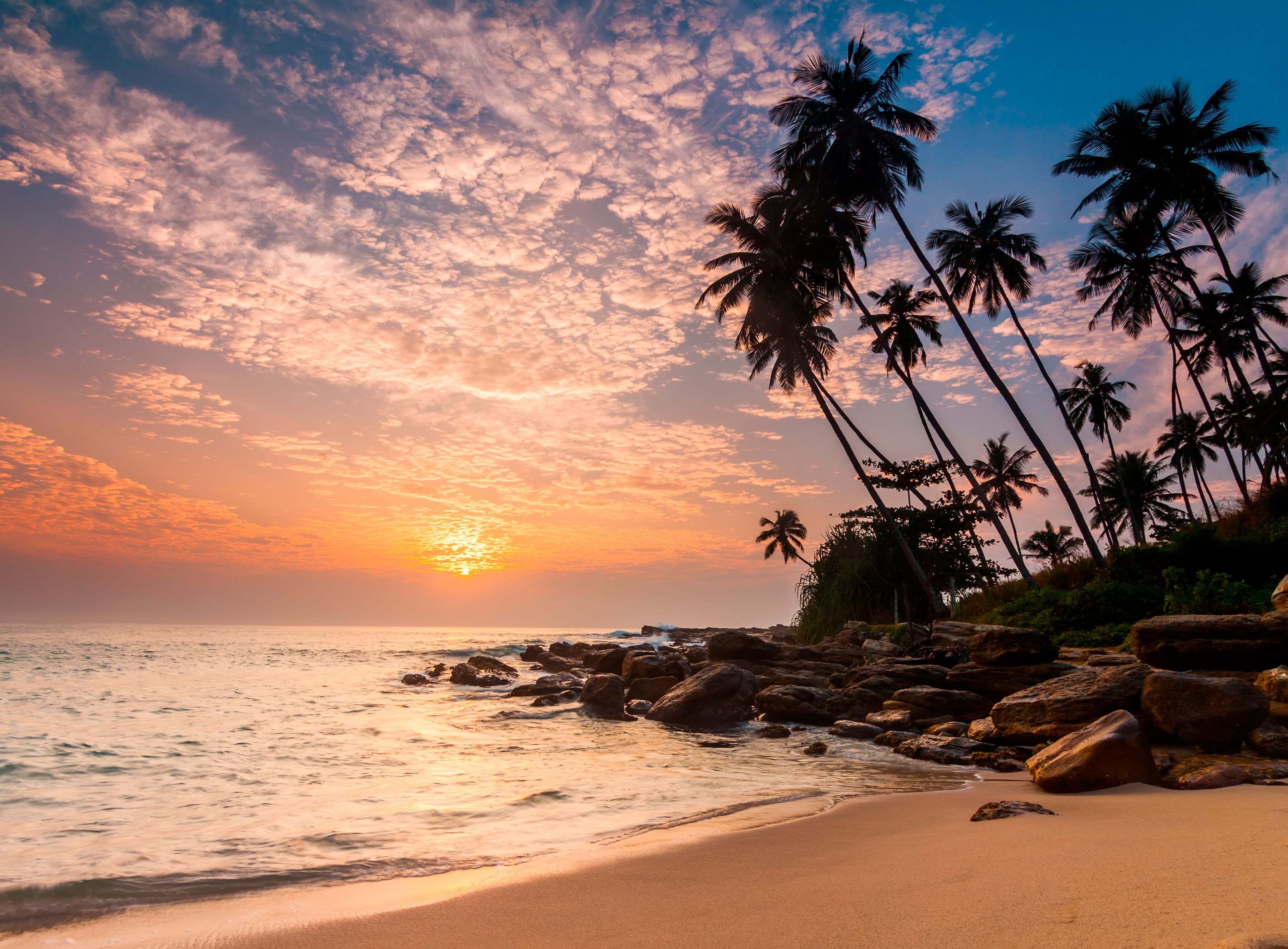 Fototapete PAPERMOON "Palm Beach Sri Lanka", bunt, B:3,5m L:2,6m, Vlies, Tapeten, Fototapete bunt B/L: 3,5m x 2,6m, Bahnen: 7 Stk.