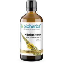 Königskerze Verbascum spp. 100 ml Tropfen Tinktur