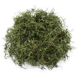 Dschungelgras, grün, 50 g