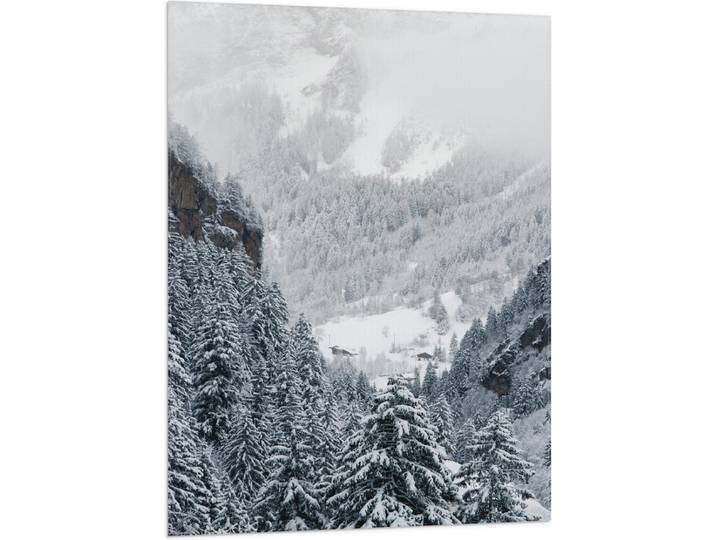 Vlag - Bergen - Bomen - Sneeuw - Bossen - 70x105 cm Foto op Polyester Vlag