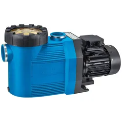 Speck Pumpe Badu Prime 7 m3/h bis 42m3 Wasserinhalt - 400V